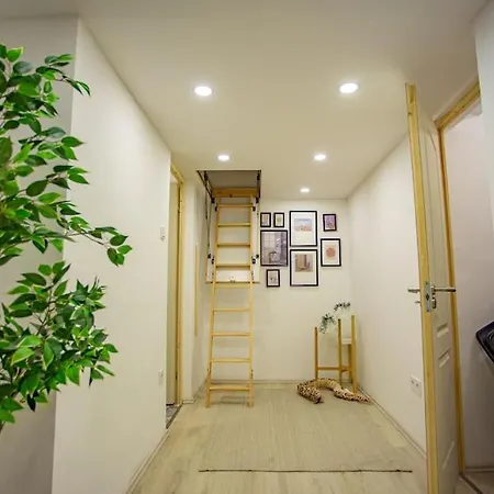 Apartment Cosy Two Bedroom Flat In Josika Street, Paprika *